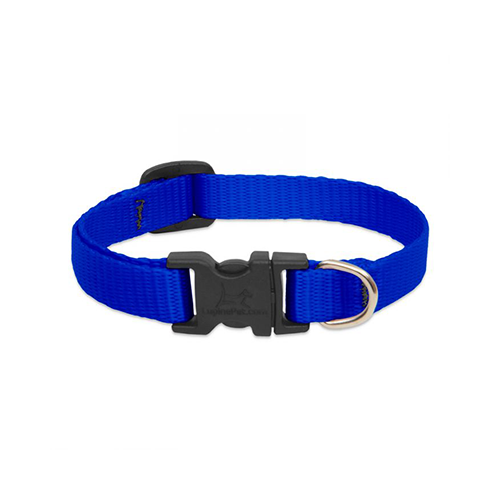 Collier réglable pour chiens Lupine® Basics