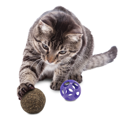 Kong® Blissy™ Moon Ball with Catnip Cat Toy