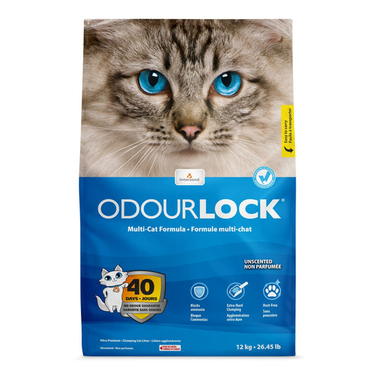 Litière agglomérante pour chat Intersand Odourlock sans parfum