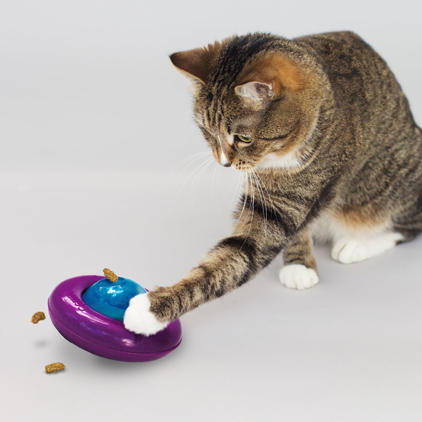 KONG® INFUSED™ CAT GYRO CAT TOY